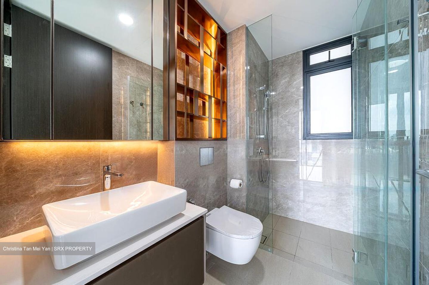 Irwell Hill Residences (D9), Apartment #451600771